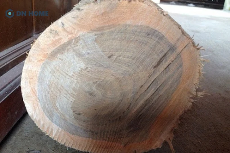 Ưu điểm nổi bật nhất của gỗ cây bách xanh chính là màu sắc và đường vân gỗ độc đáo