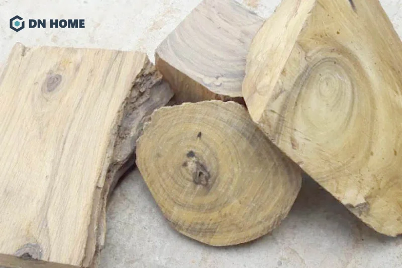 Trong phong thủy Á Đông, gỗ cây bách xanh thu hút nguồn năng lượng tích cực và may mắn