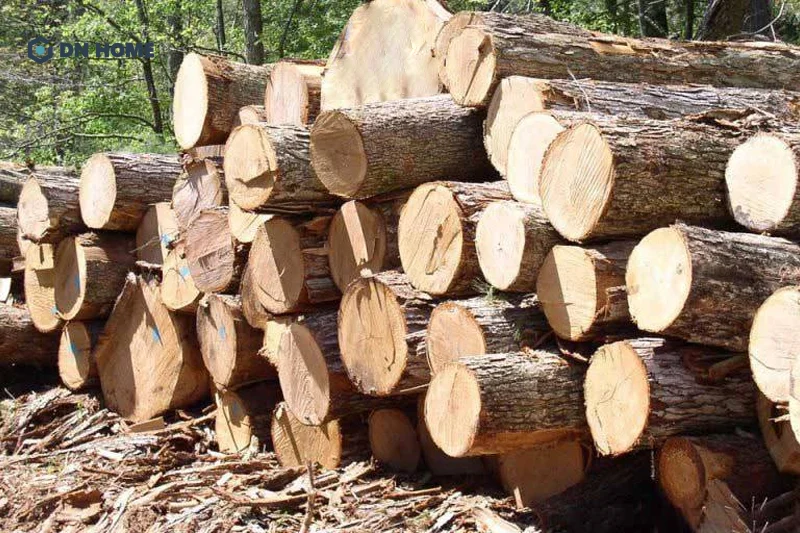 Gỗ cây pơ mu được xếp vào nhóm IIA trong bảng phân loại gỗ Việt Nam, là loại gỗ quý hiếm cần được bảo tồn