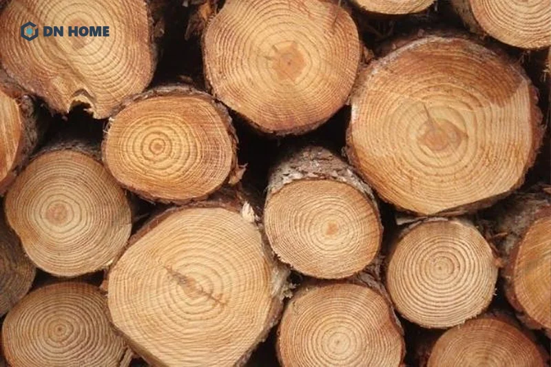 Đặc điểm của gỗ cây thông là đường vân gỗ rõ, dễ gia công do trọng lượng nhẹ và độ đàn hồi cao