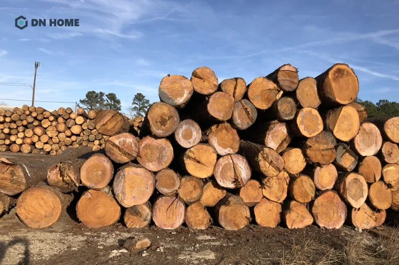 Tại Việt Nam, gỗ cây thông được xếp vào nhóm IV, nhóm gỗ có chất lượng và độ bền tốt
