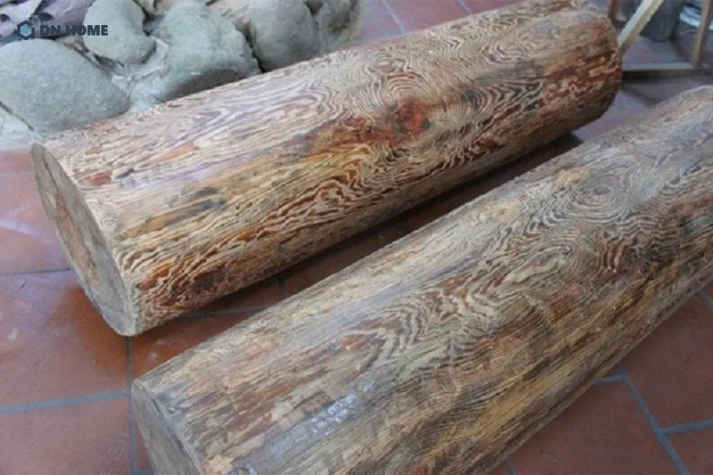 Hiện nay, cây thủy tùng chỉ còn được tìm thấy ở 3 quốc gia là Trung Quốc, Lào và Việt Nam