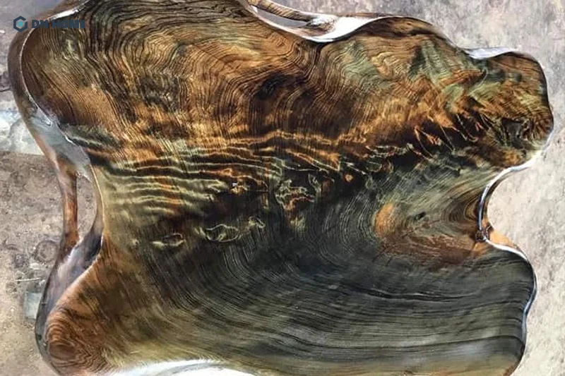 Gỗ thủy tùng đa sắc không chuyển xanh hoàn toàn, giữ được vài phần vàng hoặc đỏ