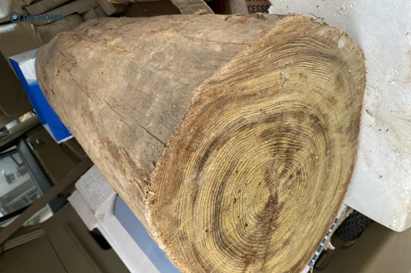 Tùy thuộc vào kích thước cũng như công chế tác mà giá thành gỗ thủy tùng có sự chênh lệch