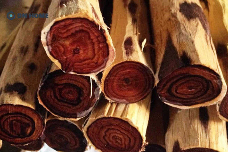 Gỗ trắc là loại gỗ quý hiếm, còn được biết đến với tên gọi khác là gỗ cầm lại