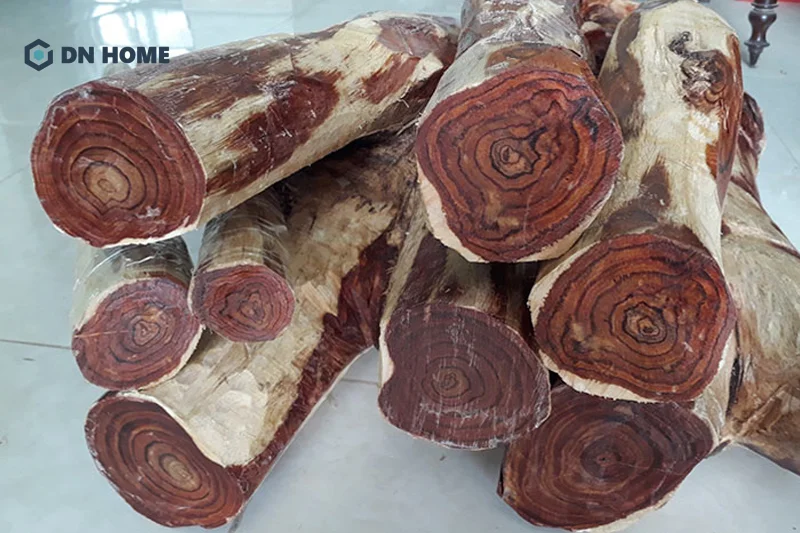 Đặc điểm nổi bật nhất của gỗ cây trắc chính là mùi hương đặc trưng, chua nhẹ nhưng không gây khó chịu