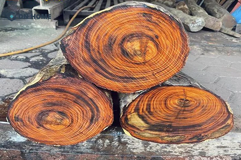 Tại Việt Nam, trắc vàng cũng thuộc phân loại gỗ trắc có giá bán đắt đỏ