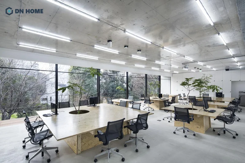 Không gian làm việc đủ ánh sáng giúp bảo vệ sức khỏe thị giác của nhân viên