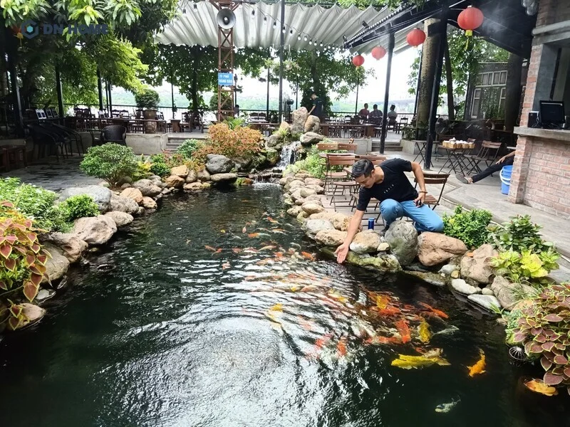 Thiết kế quán cafe cá koi với hồ cá lớn ở vị trí trung tâm