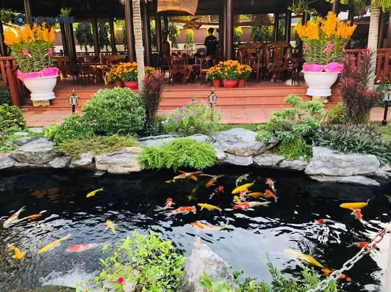 Không gian quán rộng rãi với hồ cá koi dài, ghế gỗ đơn giản và ánh sáng dịu
