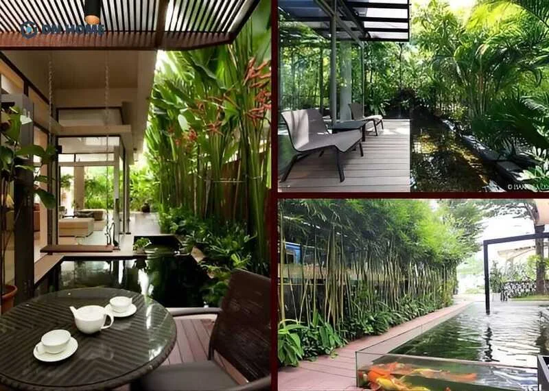 Bể cá Koi bằng kính độc đáo, thu hút khách hàng