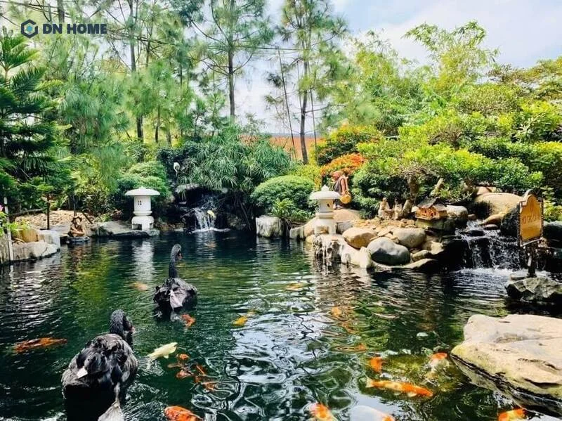 Yếu tố phong thủy cần lưu ý khi thiết kế quán cà phê cá Koi