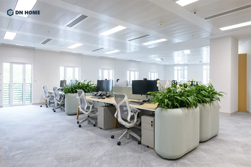 Văn phòng diện tích 50m2 nên thiết kế theo không gian mở để tối ưu không gian