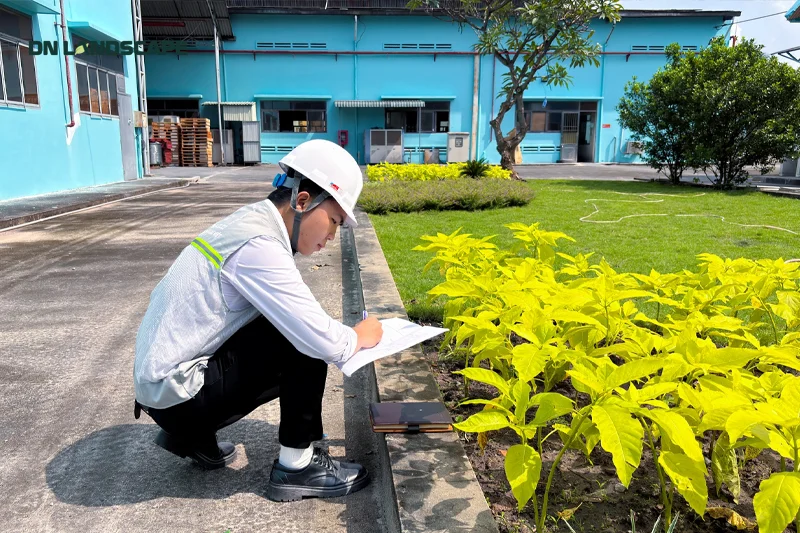 Nghiệm thu lại khối lượng công việc và tình trạng cảnh quan sau khi bảo dưỡng theo tháng