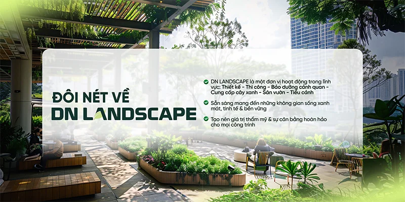 DN Landscape cung cấp trọn gói dịch vụ thiết kế - thi công - bảo dưỡng cảnh quan