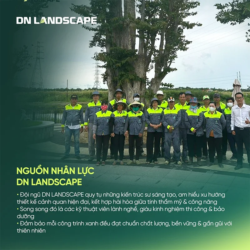 Để đánh giá năng lực của đơn vị thiết kế cảnh quan cần dựa vào kinh nghiệm, chuyên môn của nhân sự