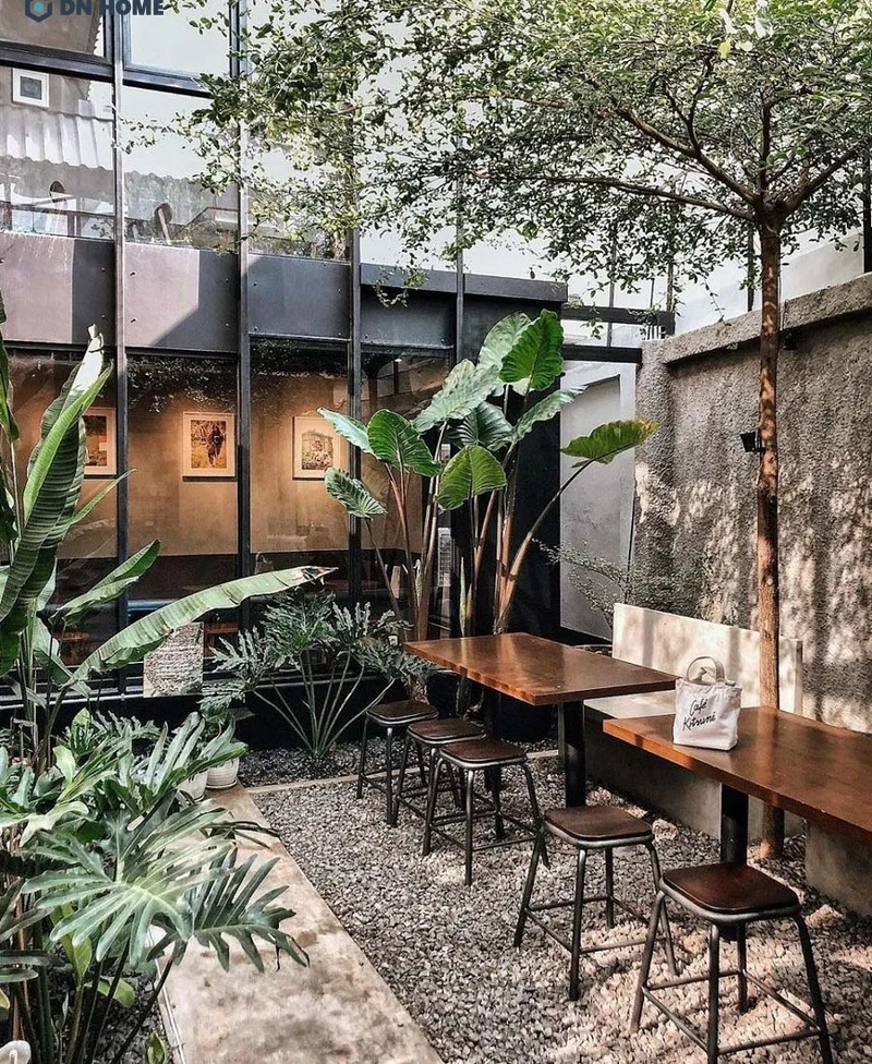 Không gian quán cafe cây xanh được bố trí đơn giản