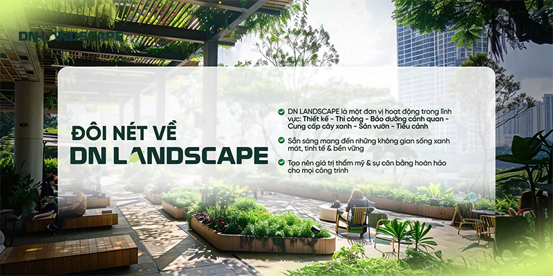 DN Landscape cung cấp giải pháp thiết kế - thi công - bảo dưỡng cảnh quan đô thị toàn diện
