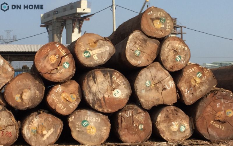 Điểm cộng của gỗ cây dâu rừng là hệ vân đan những sợi nhỏ độc đáo