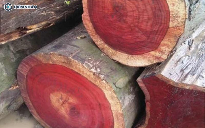 Gỗ cây Đinh Hương có hương thơm đặc trưng nhẹ nhàng, thoang thoảng dễ chịu