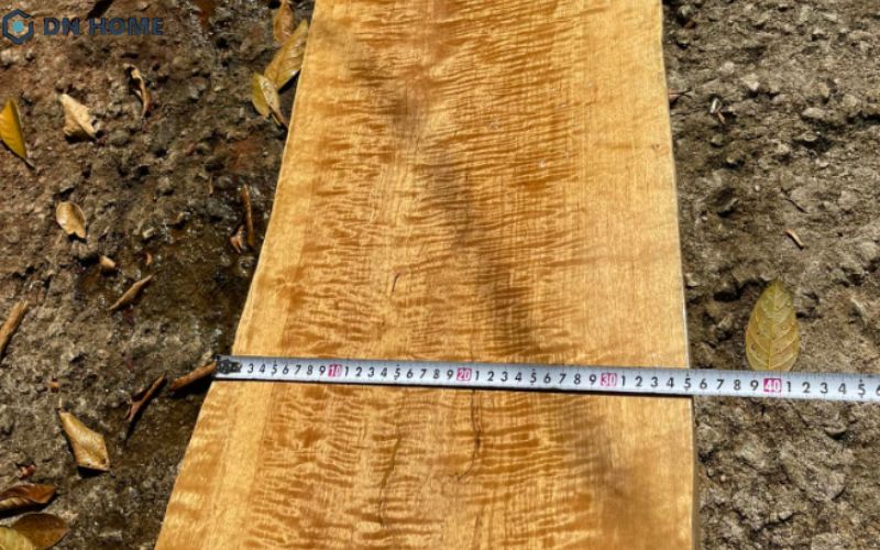 Gỗ bằng lăng có nhiều ưu điểm nổi bật nên được ứng dụng nhiều trong đời sống hiện nay