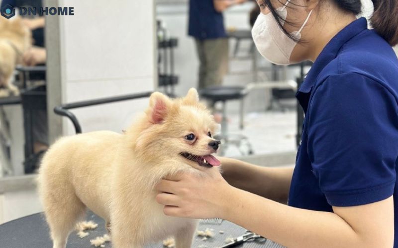 Trước khi bắt tay vào kinh doanh, bạn cần trau dồi kiến thức chuyên môn về thị trường thú cưng