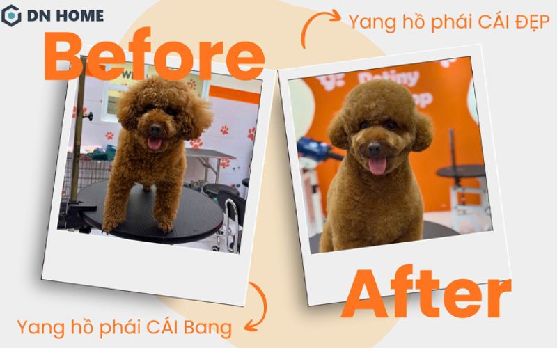 Chiến lược Marketing là yếu tố thúc đẩy việc kinh doanh spa thú cưng hiệu quả