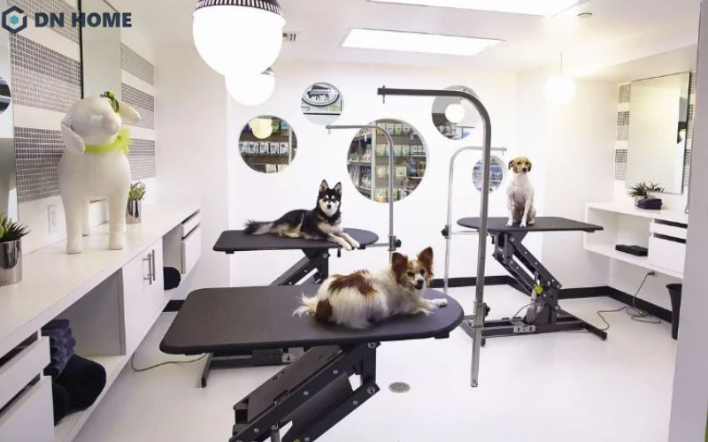 Grooming Spa tập trung vào các dịch vụ làm đẹp cơ bản cho thú cưng