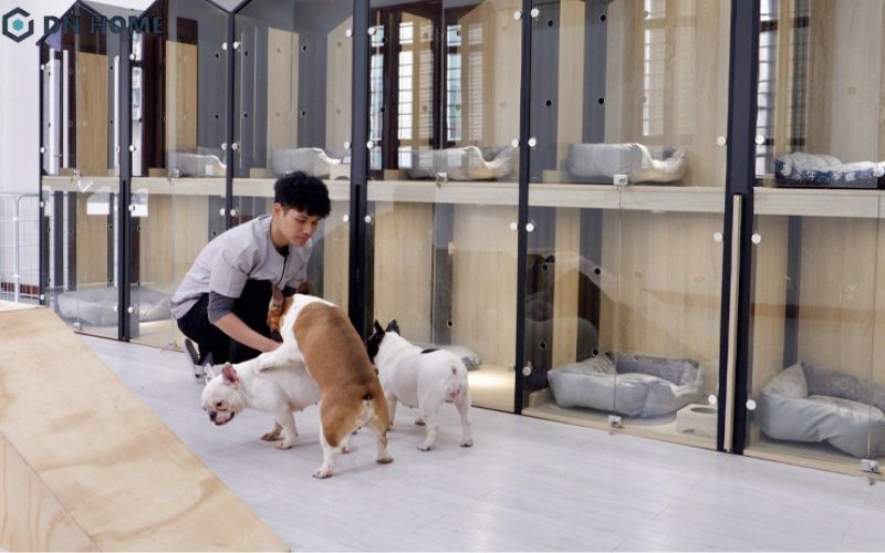 Mô hình Hotel & Spa yêu cầu không gian rộng rãi cho các bé thú cưng lưu trú thoải mái