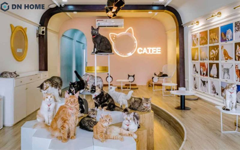 Spa thú cưng kết hợp quán Cafe thường được thiết kế theo không gian mở thoáng đãng