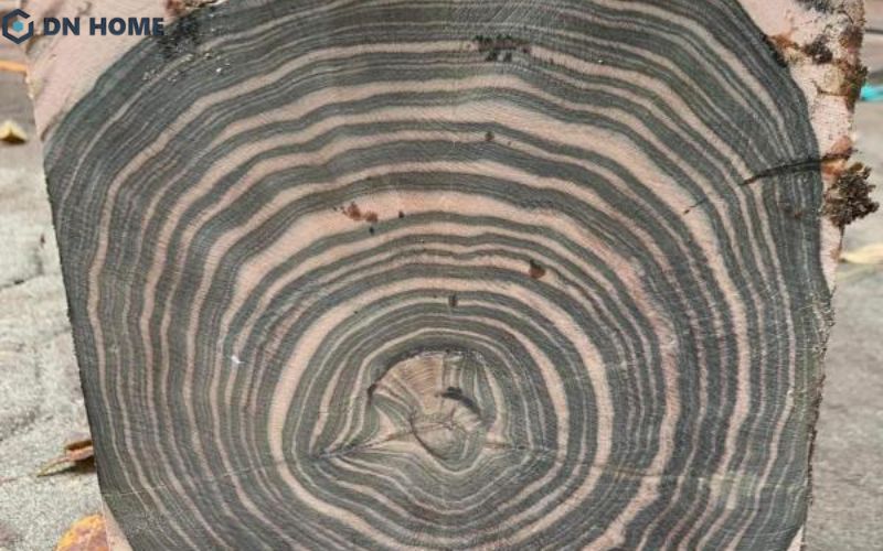 Kiểm tra vân gỗ và màu sắc