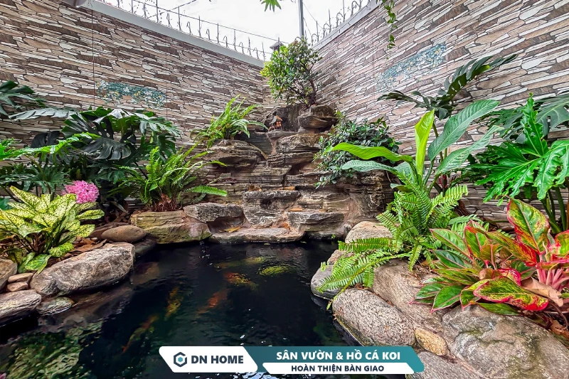 Dự án tiểu cảnh sân vườn & hồ cá koi có tổng diện tích triển khải 25m2