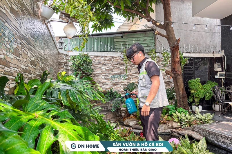 Tiểu cảnh sân vườn và hồ cá koi được chăm sóc cẩn thận bởi đội ngũ DN HOME