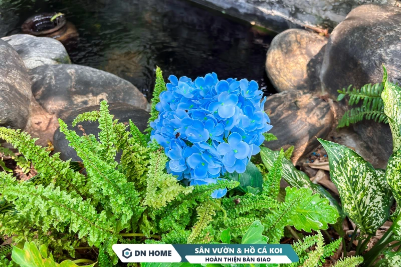 Những bông hoa sắc màu rực rỡ tạo điểm nhấn trong không gian sân vườn nhiệt đới