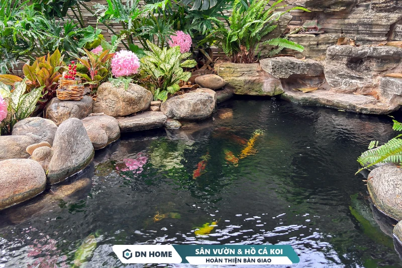 Hồ cá koi là điểm nhấn thiên nhiên tinh tế cho toàn bộ không gian sống nhà phố