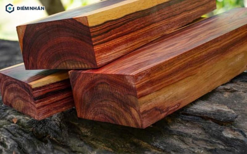 Khả năng chống mối mọt vượt trội của gỗ cà chít giúp duy trì độ bền cho nội thất trên 20 năm.