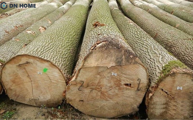 Gỗ cây tần bì được xếp vào nhóm IV trong bảng phân loại danh mục thực vật tại Việt Nam