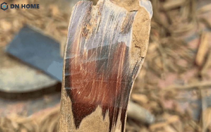 Gỗ Hoàng Đàn Tuyết là loại gỗ quý hiếm, có độ bền tốt và tính thẩm mỹ cao nên được đánh giá là loại gỗ tốt