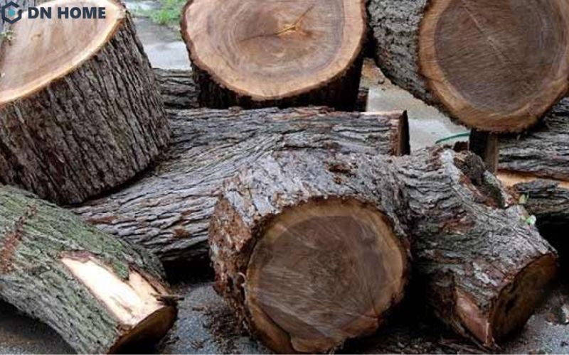 Gỗ cây Sao chứa nhiều nhựa dầu tự nhiên nên chống nước, chống ẩm tốt