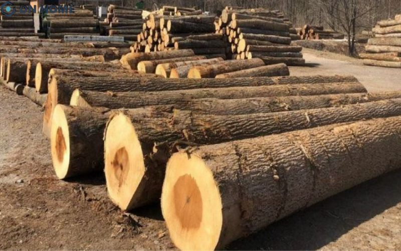 Gỗ Sao với nguồn cung ổn định nên chi phí không quá cao
