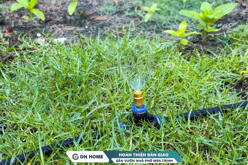 Hệ thống kỹ thuật tưới tiêu thông minh giúp duy trì vẻ đẹp lâu dài của sân vườn