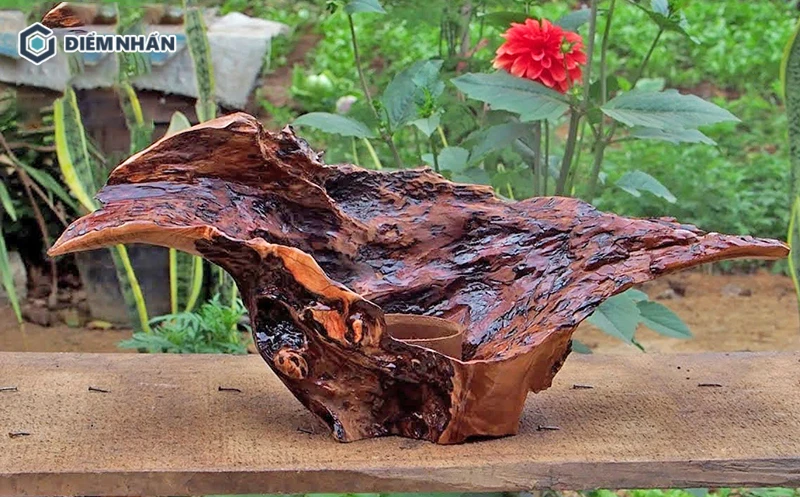 Gỗ lũa được khai thác sâu bên trong lòng đất đất giữ được màu gỗ nguyên bản