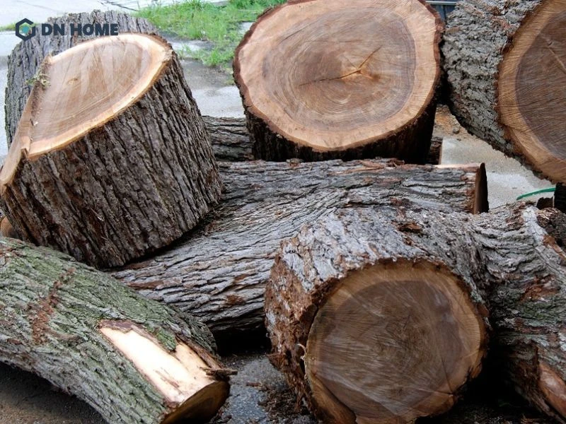 Nhận biết gỗ cây sến thật, giả thông qua màu sắc, trọng lượng và độ bền