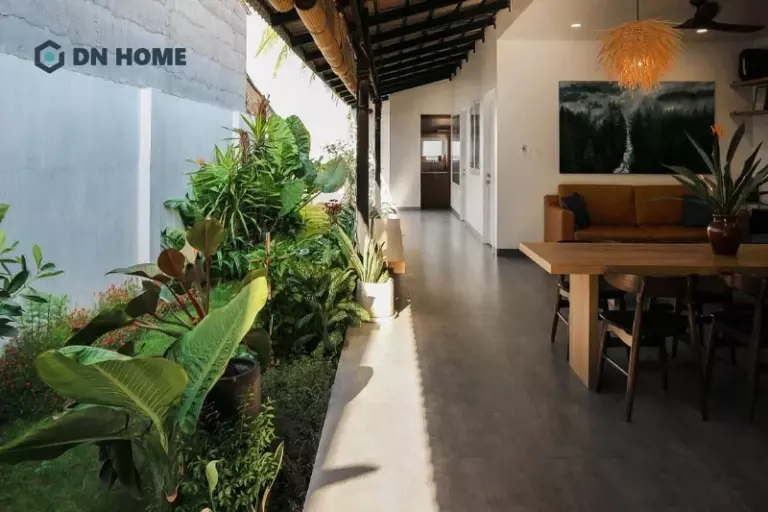 Tiểu cảnh sân vườn bên hông nhà mang lại cảm giác xanh mát, sinh động cho không gian sống