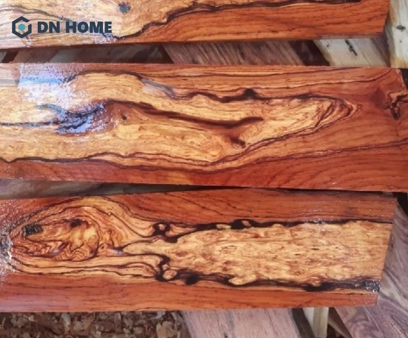 Loại gỗ này phân bố chủ yếu ở các khu rừng nhiệt đới Đông Nam Á