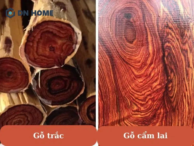 Gỗ trắc và gỗ cẩm lai đều thuộc dòng gỗ quý hiếm hiện nay