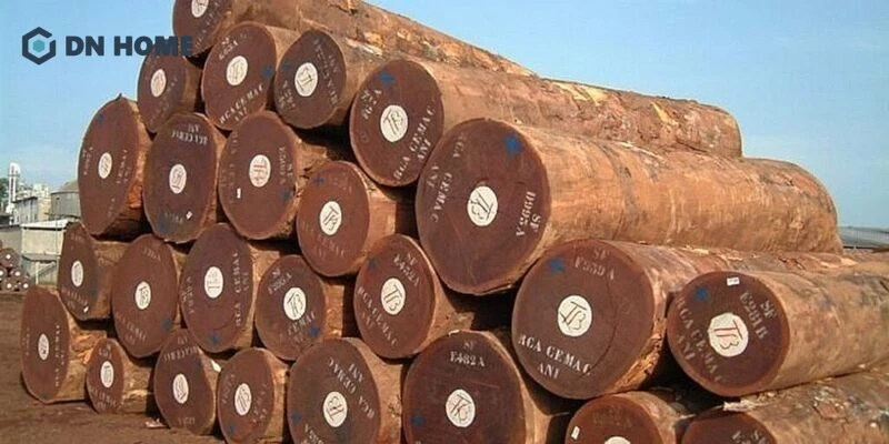 Thớ gỗ dày thịt, màu từ đỏ nhạt đến đỏ đậm