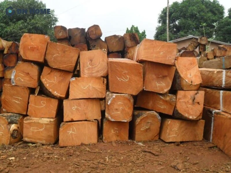 Gỗ loại 1 có giá thành khá cao trên thị trường hiện nay