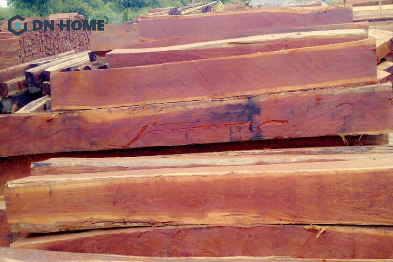 Đặc điểm gỗ cây xăm xe là nặng, chắc và rất cứng