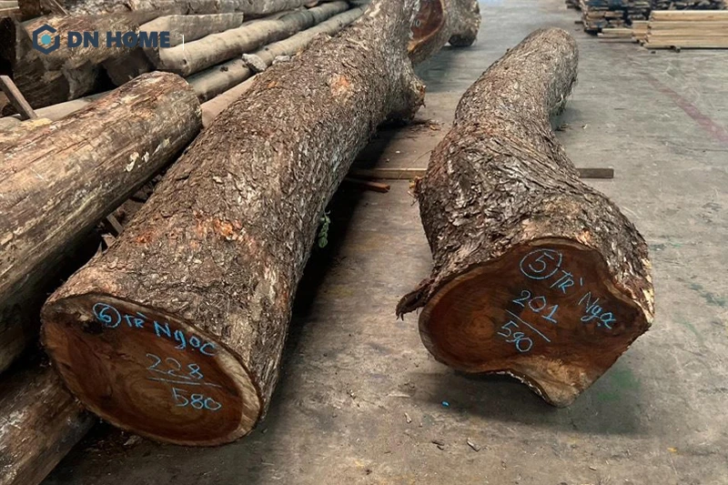 Gỗ chiu liu thuộc nhóm I - nhóm gỗ quý hiếm theo bảng phân loại gỗ Việt Nam